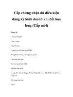 Cấp chứng nhận đủ điều kiện đăng ký kinh doanh khí đốt hoá lỏng (Cấp mới) pps