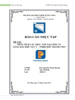 Cấu trúc vốn công ty xăng dầu khu vực v  TNHH một thành viên