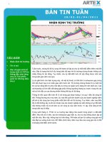 Công ty CPCK Artex nhận định thị trường tuần 28/03-01/04/20 pps