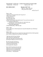 đề thi tỉnh BR-VT 2010 2011