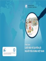 TỔNG QUAN LUẬT bảo vệ QUYỀN lợi NGƯỜI TIÊU DÙNG VIỆT NAM
