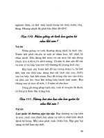 Nông Nghiệp - Hoa, Cây Cảnh tập 2 phần 7 ppt