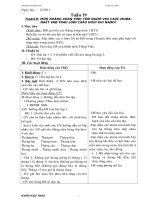 luyen tu cau tuán9-24 moi