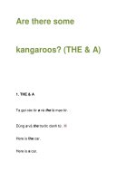 Are there some kangaroos? pot