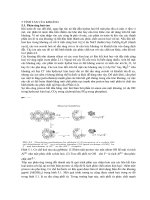 TÍNH TAN CỦA KHOÁNG ppsx