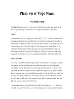 Phái võ ở Việt Nam Võ Nhất Nam doc