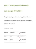 Unit 8 - A family reunion pdf