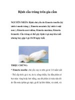 Bệnh cầu trùng trên gia cầm docx