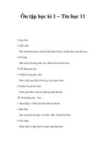 Ôn tập học kì 1 – Tin học 11 docx