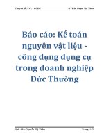 Báo cáo: Kế toán nguyên vật liệu - công dụng dụng cụ trong doanh nghiệp Đức Thường pot