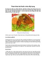 Tham khảo bài thuốc chữa đầy bụng docx