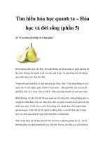 Tìm hiểu hóa học quanh ta – Hóa học và đời sống (phần 5) pps