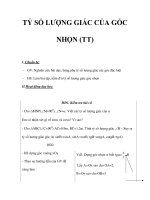 TỶ SỐ LƯỢNG GIÁC CỦA GÓC NHỌN (TT) ppt