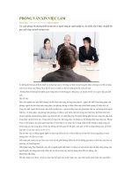 PHỎNG VẤN XIN VIỆC LÀM pdf