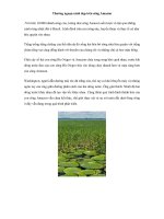 Thưởng ngoạn cảnh đẹp trên sông Amazon doc