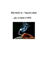 Hút thuốc lá – Nguyên nhân gây ra bệnh COPD ppt
