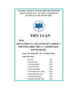 đề tài đo lường và so sánh sức khoẻ 3 thương hiệu bigc, coopmart, lottemart