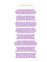 Ngôn ngữ Bắc - Nam