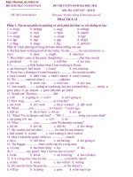 Đề luyện thi đại học môn Tiếng Anh 5 pps