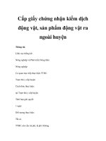 Cấp giấy chứng nhận kiểm dịch động vật, sản phẩm động vật ra ngoài huyện doc