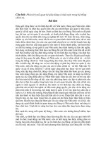 Mối quan hệ giữa Đảng và nhà nước potx