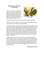 CHỮA BỆNH CHO ĐÀN ÔNG