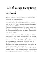 Yếu tố xã hội trong từng ô cửa sổ pot