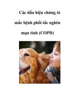 Các dấu hiệu chứng tỏ mắc bệnh phổi tắc nghẽn mạn tính (COPD) doc