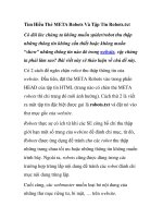 Tìm Hiểu Thẻ META Robots Và Tập Tin Robots.txt ppsx