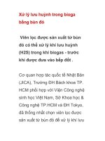 Xử lý lưu huỳnh trong bioga bằng bùn đỏ potx