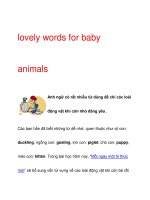 lovely words for baby animals pot