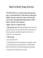 Bệnh Tụ Huyết Trùng Trên heo pps