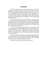 Vốn tự có của ngân hàng thương mại Việt Nam potx