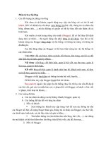 Phân tích sơ bộ blog pot