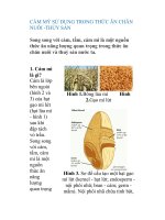 CÁM MỲ SỬ DỤNG TRONG THỨC ĂN CHĂN NUÔI -THỦY SẢN pps