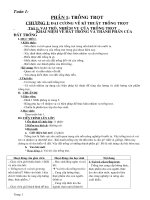 Công Nghệ 7 (Cả năm 3 cột)