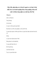 Cấp Giấy phép lập cơ sở bán lẻ ngoài cơ sở bán lẻ thứ nhất cho các doanh nghiệp Khu công nghiệp, Khu chế xuất và Khu công nghệ cao sinh học Hà Nội doc