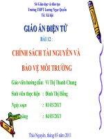 Giáo án: Chính sách tài nguyên và bảo vệ môi trường pot