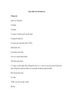 Tạm đình chỉ thi hành án pptx