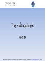 Truy xuất nguồn gốc