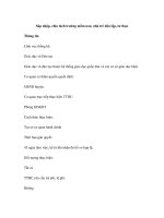 Sáp nhập, chia tách trường mầm non, nhà trẻ dân lập, tư thục pot