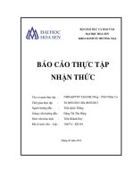 báo cáo thực tập nhận thức tại ngân hàng nông nghiệp & phát triển nông thôn tỉnh đăk nông – phòng giao dịch nhân cơ - luận văn, đồ án, đề tài tốt nghiệp