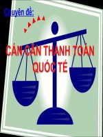 Cán Cân Thanh Toán Quốc Tế pptx