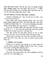 Kỹ Thuật Nuôi Dạy Và Phòng Bệnh Cho Chó phần 3 pot