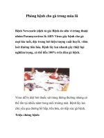 Phòng bệnh cho gà trong mùa lũ pot