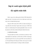 Súp lơ xanh ngừa bệnh phổi tắc nghẽn mãn tính pdf