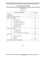 Một số biện pháp thực hiện công tác kiểm tra hoạt động sư phạm nhà giáo tại trường tiểu học
