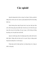 Các opioid ppt