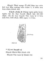 Đông Y - Bấm Huyệt Chữa Các Bệnh Thường Gặp phần 4 doc