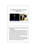 Kỹ thuật chuyển gen cho động vật ppt